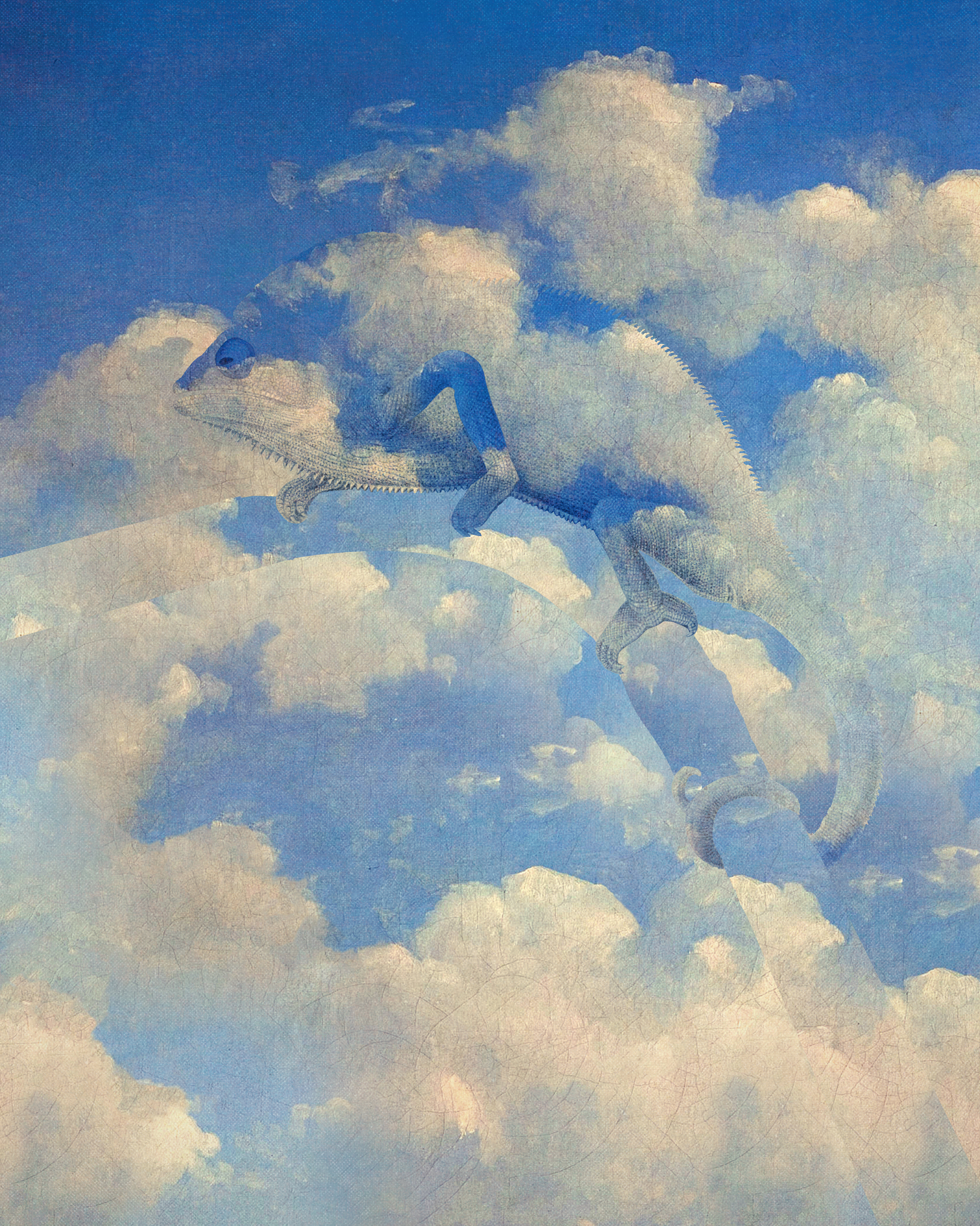 Camouflage by mendezmendez